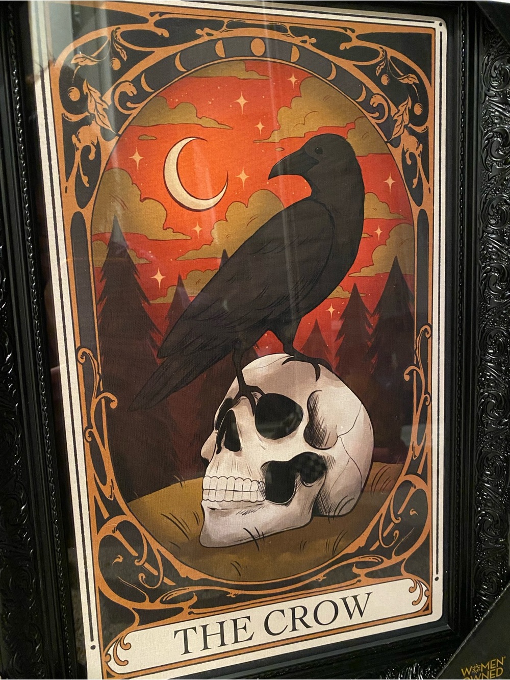 Sapna Shah Halloween Collection THE CROW Framed Art Print